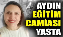 Aydın eğitim camiası yasta!