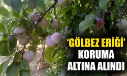 ‘Gölbez Eriği’ koruma altına alındı