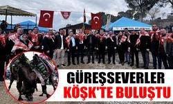 Köşk'te deve güreşi festivali