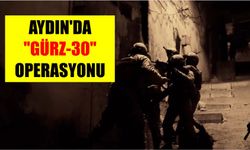 "Gürz-30" operasyonlarında 40 şüpheli yakalandı