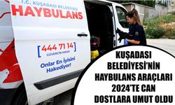 Kuşadası Belediyesi’nin haybulans araçları 2024’te can dostlara umut oldu