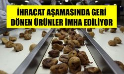 İhracat aşamasında geri dönen ürünler imha ediliyor