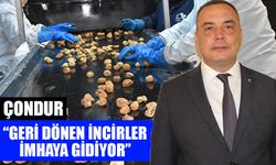 Çondur: “Geri dönen incirler imhaya gidiyor”