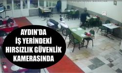 Aydın'da iş yerindeki hırsızlık güvenlik kamerasında