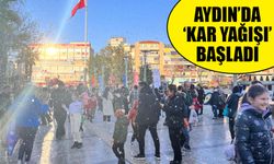 Aydın’da ‘kar yağışı’ başladı