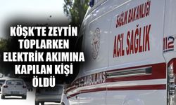 Köşk’te zeytin toplarken elektrik akımına kapılan kişi öldü