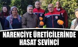 Aydın'daki narenciye üreticilerinde hasat sevinci