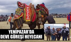 Yenipazar’da deve güreşi heyecanı