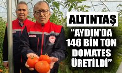 Altıntaş: “Aydın’da 146 bin ton domates üretildi”