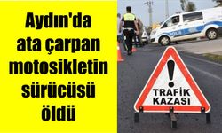 Aydın'da ata çarpan motosikletin sürücüsü öldü