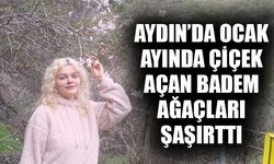 Aydın’da ocak ayında çiçek açan badem ağaçları şaşırttı