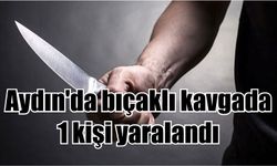 Aydın'da bıçaklı kavgada 1 kişi yaralandı