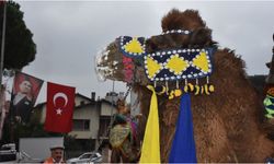 Aydın'da "En Yakışıklı Deve Yarışması" düzenlendi