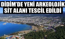 Didim’de yeni arkeolojik sit alanı tescil edildi