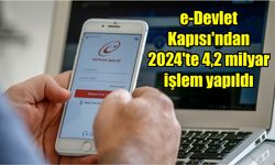 e-Devlet Kapısı'ndan 2024'te 4,2 milyar işlem yapıldı