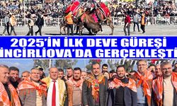 İncirliova’da 38. Geleneksel Deve Güreşi coşkusu