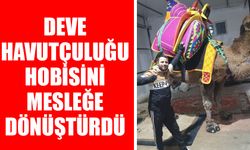 Deve havutçuluğu hobisiydi, mesleği oldu