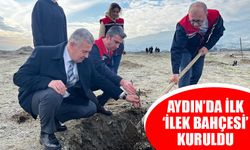 Aydın’da ilk ‘ilek bahçesi’ kuruldu