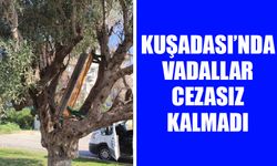 Kuşadası’nda vadallar cezasız kalmadı