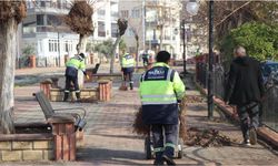 Nazilli Belediyesi yürüyüş yolu ve parkları bakıma aldı