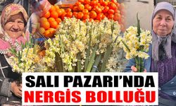 Salı Pazarı’nda nergis bolluğu