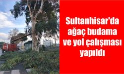 Sultanhisar'da ağaç budama ve yol çalışması yapıldı