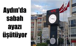 Aydın’da sabah ayazı üşütüyor