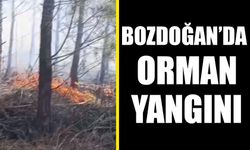 Bozdoğan’da orman yangını