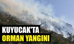 Kuyucak'ta orman yangını