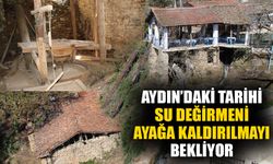 Aydın’daki tarihi su değirmeni ayağa kaldırılmayı bekliyor