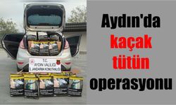 Aydın’da kaçak tütün operasyonu!