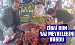 Zirai don, yaz meyvelerini vurdu