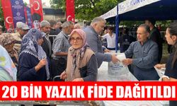 Karpuzlu’da yerli fide kuyruğu