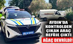 Aydın'da kontrolden çıkan araç refüje çıktı, ağaç devrildi!
