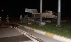 Arı kovanı yüklü kamyonet devrildi