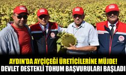 Aydın’da ayçiçeği üreticilerine müjde! Devlet destekli tohum başvuruları başladı