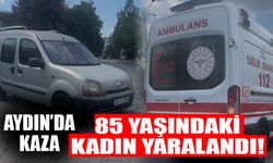 Aydın’da kaza: 85 yaşındaki kadın yaralandı!