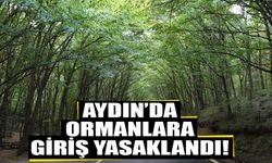 Aydın’da ormanlara giriş yasaklandı!