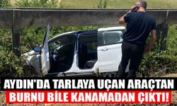 Aydın'da tarlaya uçan araçtan burnu bile kanamadan çıktı!