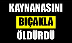 Kaynanasını bıçakla öldürdü