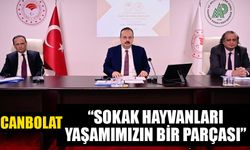 Aydın Hayvan Hakları Kurulu toplandı!