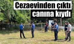 Cezaevinden çıktı canına kıydı