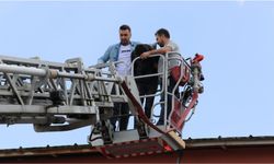 Çatıda yakalanan hırsızlık zanlısı itfaiye merdiveniyle indirildi