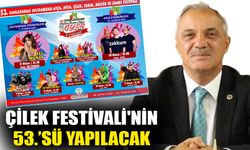 Sultanhisar'da festival coşkusu yarın başlıyor