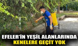Efeler’in yeşil alanlarında kenelere geçit yok!