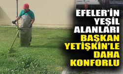 Efeler’in yeşil alanları Başkan Yetişkin’le daha konforlu