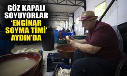 Göz kapalı soyuyorlar: ‘Enginar soyma timi’ Aydın’da