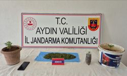 Aydın’da uyuşturucu operasyonu