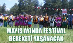 Mayıs ayında festival bereketi yaşanacak