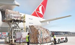 Türkiye'de hava kargonun yüzde 84'ü İstanbul merkezli seferlerle nakledildi